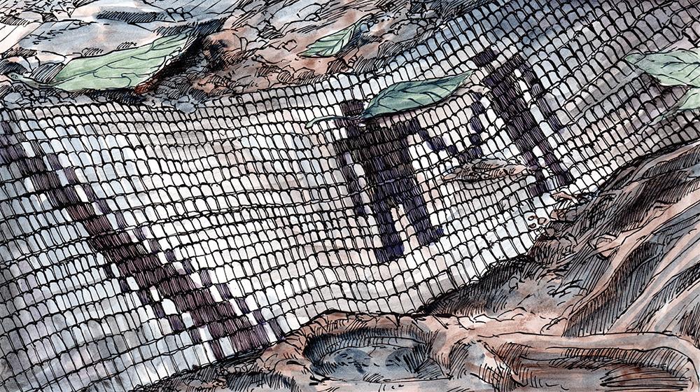 Redrawing History A Graphic Novel Recounts the Conestoga Massacre from